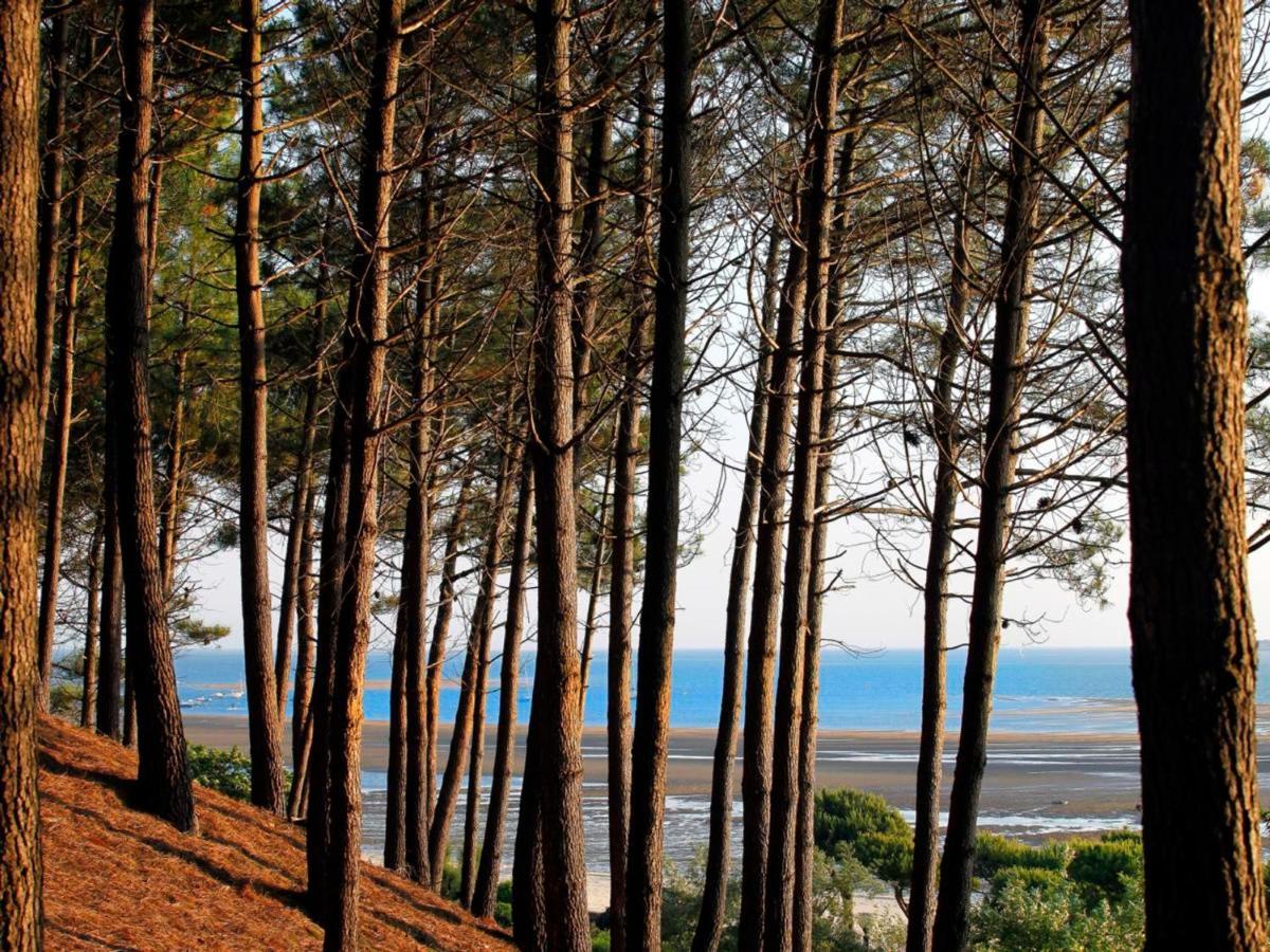 Arcachon Centre: Beau T2 53M² Avec Terrasse, Parking, Ascenseur, Proche Plage Et Commerces - Fr-1-420-93 Экстерьер фото